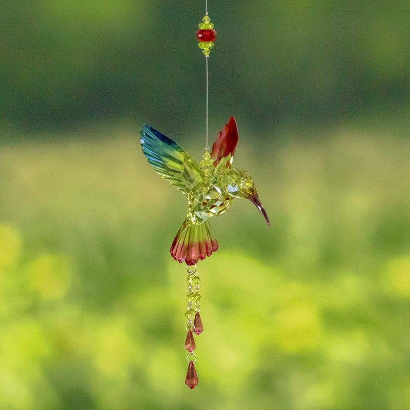 Five Tone Acrylic 3-Piece Hummingbird Chain in 6 Assorted Colors